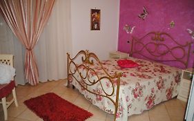 Leortensiesanvitolocapo
